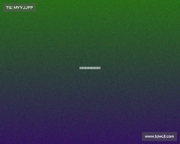 国际武术赛事—国际武术邀请赛